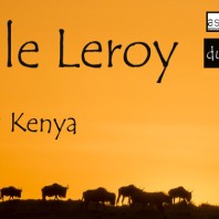 Exposition « Masaï Mara – Kenya »