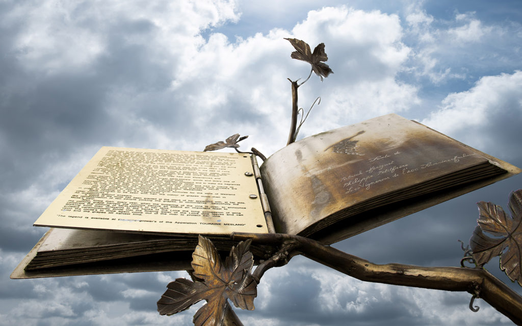 feuilles de vigne - Annie Kriz