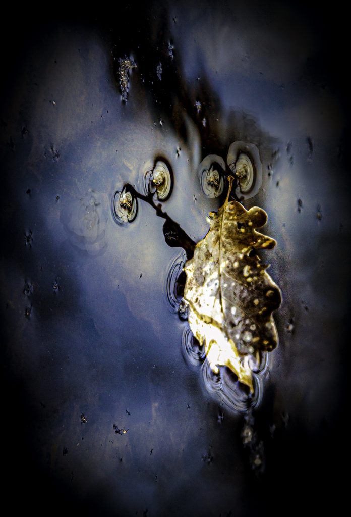 Etrange ! Annie Kriz