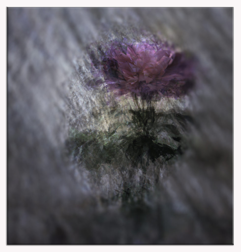 Elégance - Annie Kriz