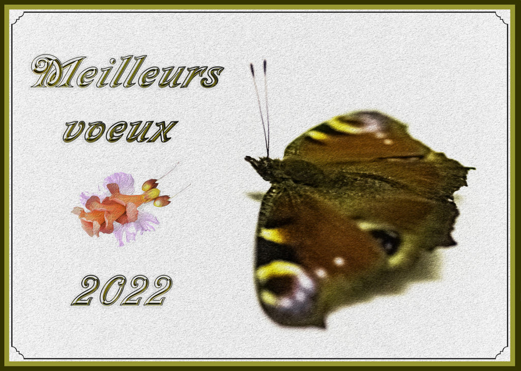 EXCELLENTE ANNEE A TOUS