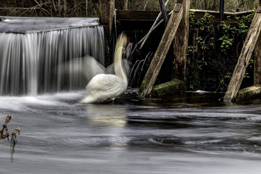fait moi "signe" - Annie Kriz