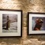 Exposition Souillac