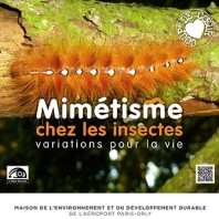 Exposition « Insectes »