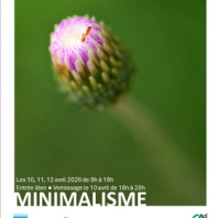 Exposition photo « Minimalisme »